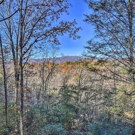 Natures Retreat With Hot Tub 7 Mi To Bryson City Whittier المظهر الخارجي الصورة